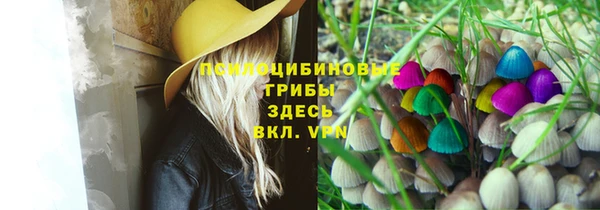 дмт Нефтегорск