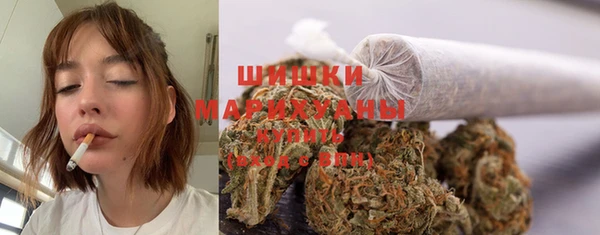 тгк Арсеньев