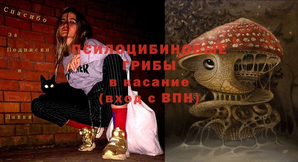 тгк Арсеньев