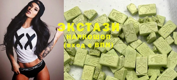 гидра Аркадак