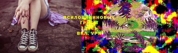 гидра Аркадак