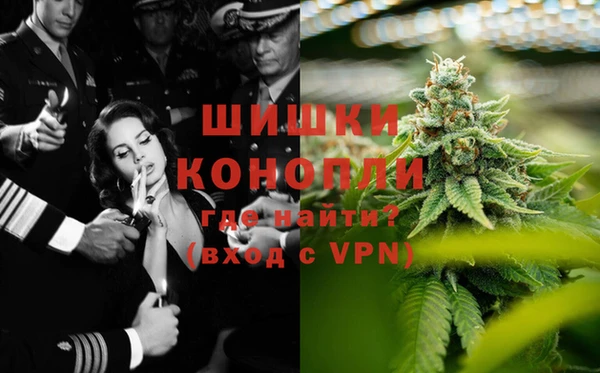 гидра Аркадак