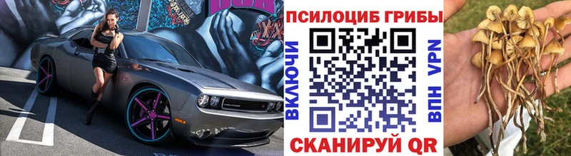 купить закладку  Маркс  Галлюциногенные грибы прущие грибы 